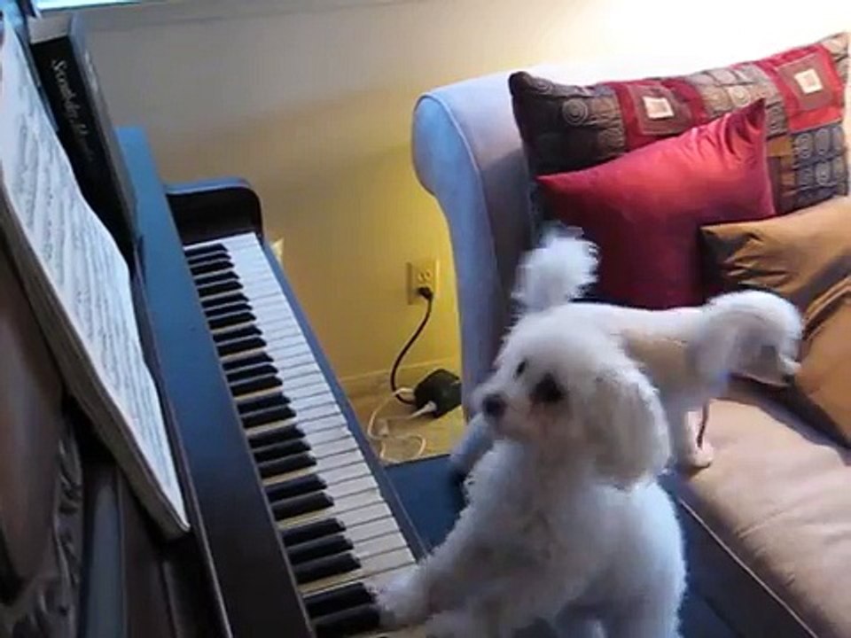 Singing and Playing Piano
