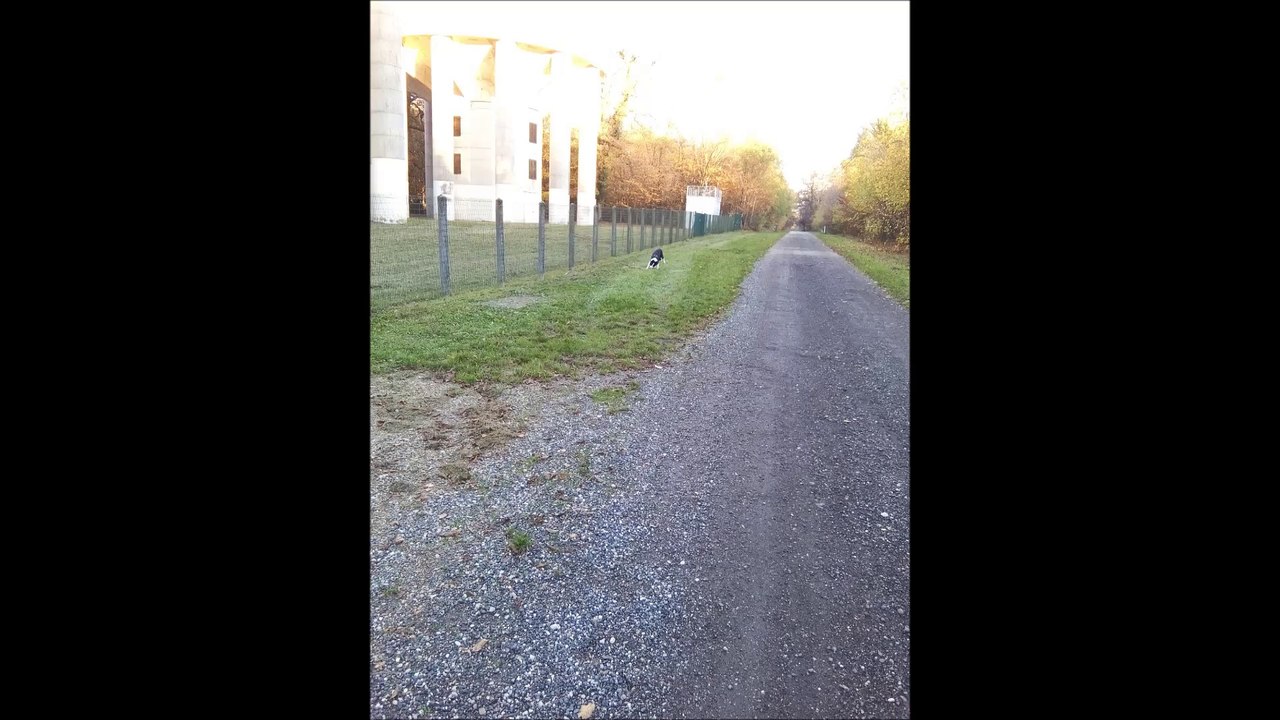 novembre 2, 2015