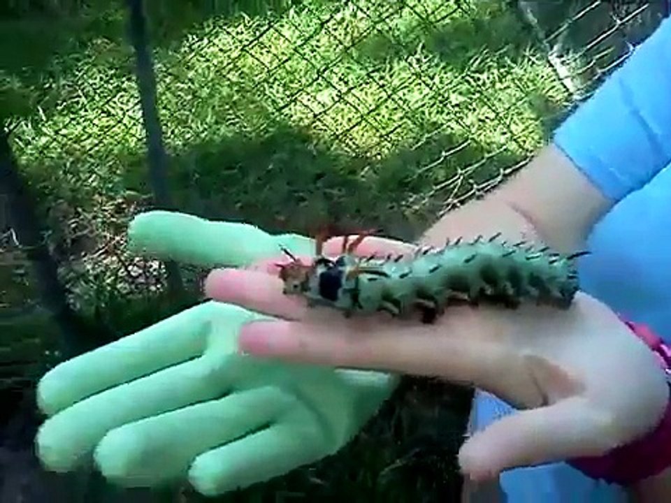 Mortal Kombat Elevator Prank! - Komik videolar - Funny videos