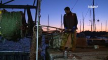 Morbihan. La pêche à la coquille Saint-Jacques est lancée