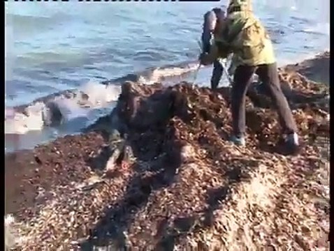 جو یورپ جانا چاہتا ہے اُس سے پہلے یہ ویڈیو ضرور دیکھیں