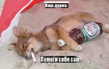 Помоги Себе Сам - Help YourSelf | Funny Dog (2015)
