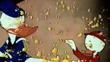 donald desenhos animados