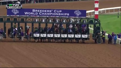 2015 Breeders' Cup Classic featuring American Pharoah