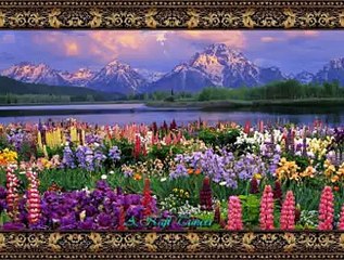 Mehmet Emin BİTMEZ (Ud)-Anadolu Varyasyonları