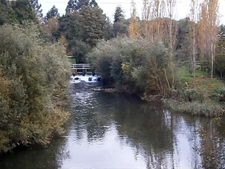 TELVA 1