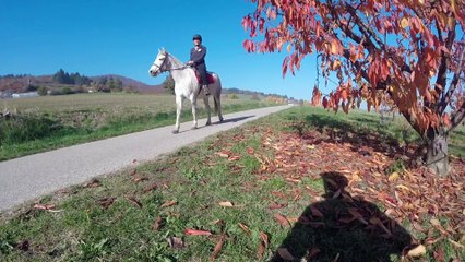 Balade à cheval +VTT
