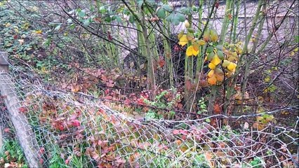 Zukunft baut Pinneberg - Hafen und Hochbrücke November 2015 /Full Film/Ganzer Film