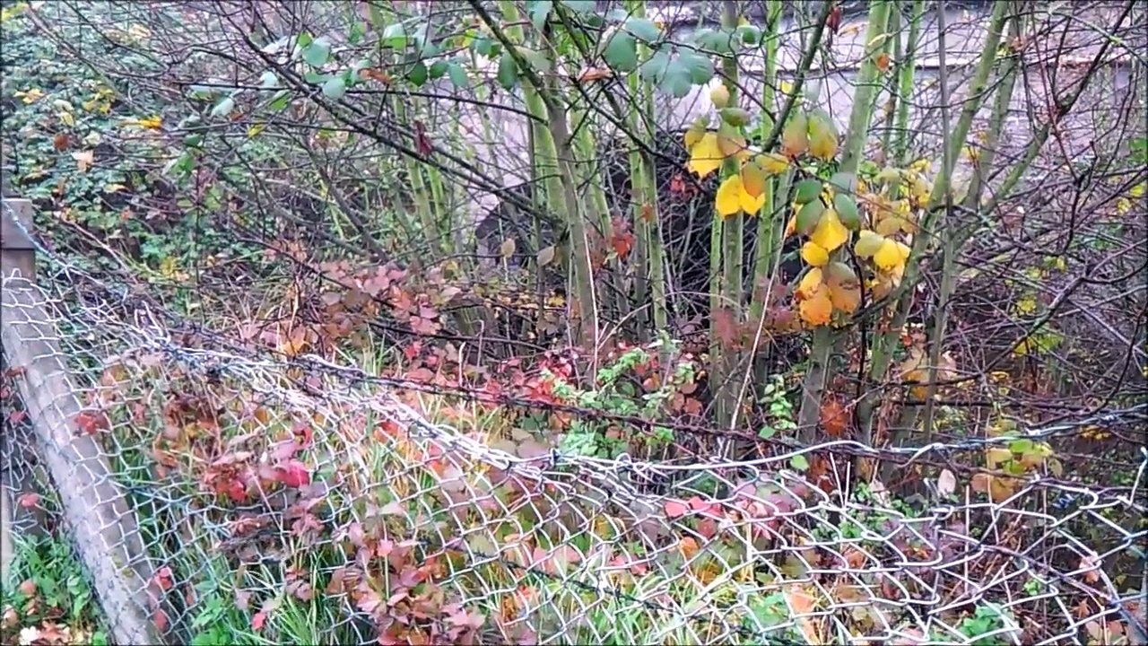 Zukunft baut Pinneberg - Hafen und Hochbrücke November 2015 /Full Film/Ganzer Film