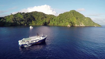 Cocos Island avec NATURE PLONGEE