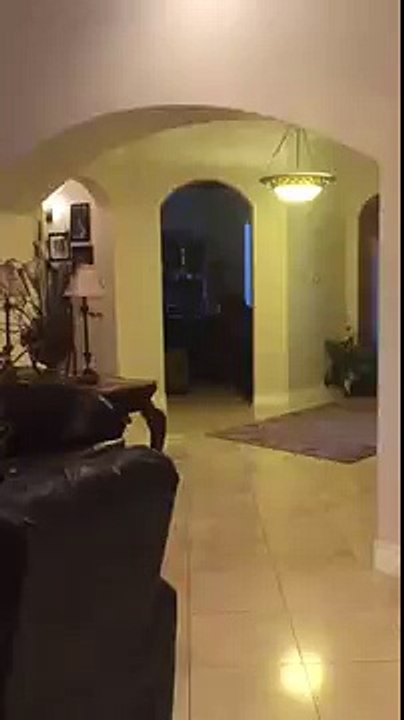 segway Darth Vader fail
