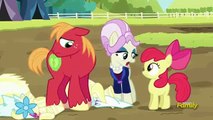 My Little Pony Friendship Is Magic Season 5 Episode 17 Brotherhooves Social - Part 7