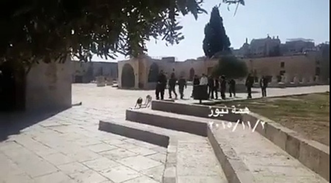 alqods islam vs noislam