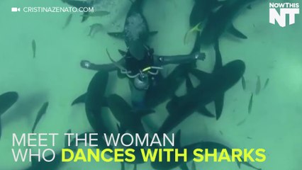 Meet The 'Shark Whisperer'