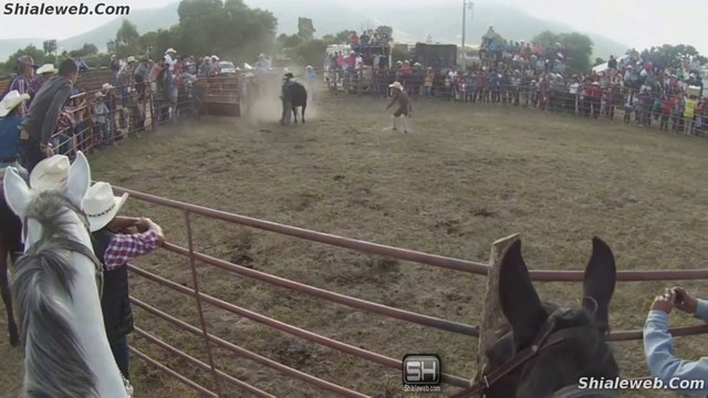 SUPER JARIPEO RANCHERO EXTREMO EN LA PURISIMA PINOS FIESTAS PATRONALES DEL SENOR DEL ENCINITO ZACATECAS MEXICO NOVIEMBRE