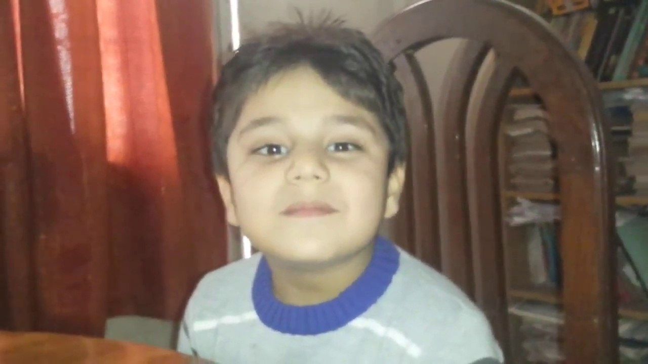 Shaheen of Iqbal Zidaan Ahmed Slams Anti Iqbal Media