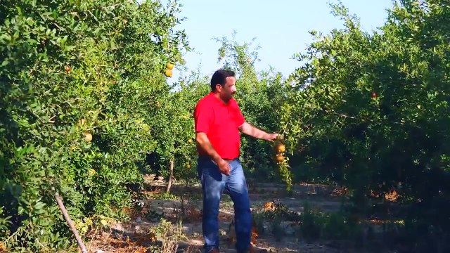 Bitlisli Ruken - Potpori 2015 HD - KURDISH MUSIC 2015 - KÜRTÇE MÜZİK 2015 - MUZIKA KURDI 2