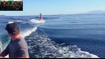 Wake boarding girl surrounded by dolphins