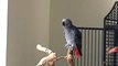 Bird does a surprisingly good rendition of 'Always look on the Bright Side of Life'