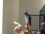 Bird does a surprisingly good rendition of 'Always look on the Bright Side of Life'