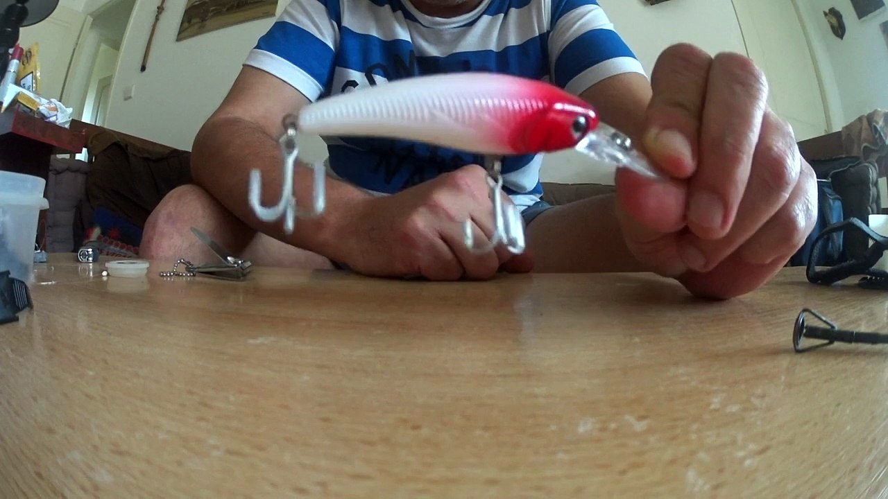 Poisson nageur burn 60 présentation