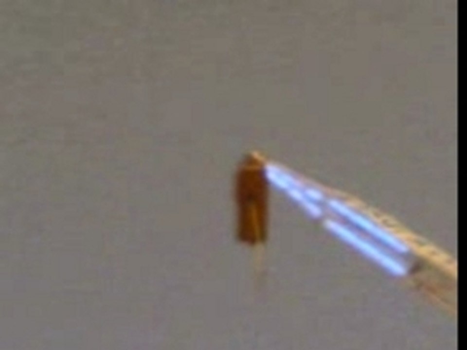 Saut à l'elastic yoni