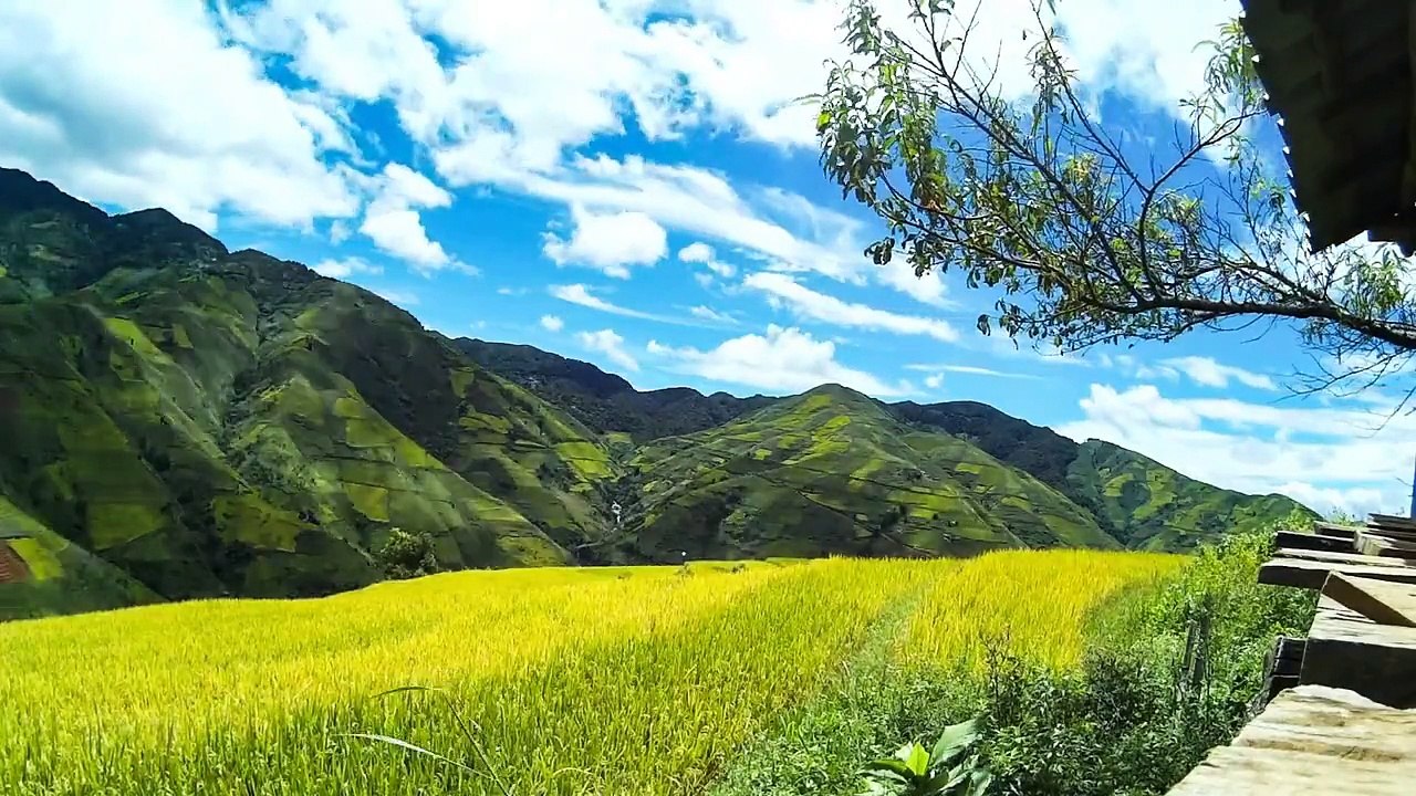 [Element Cams] - [VietNam beautiful sight] - Part 2: Mây Tà Xùa, lúa Xím Vàng