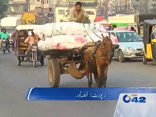 No implementation of animals rights in Pakistan due to lack of funds