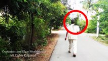 Person Walking With Child Ghost,Real Ghost Spirit Caught Sitting On Person's Shoulder Ghostworldmedia