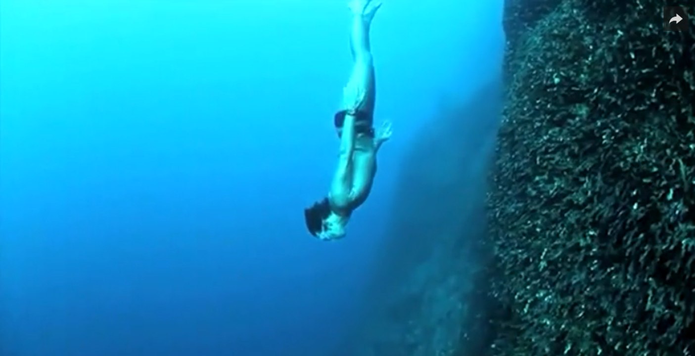 Un monstre préhistorique attaque un champion d'apnée !!!