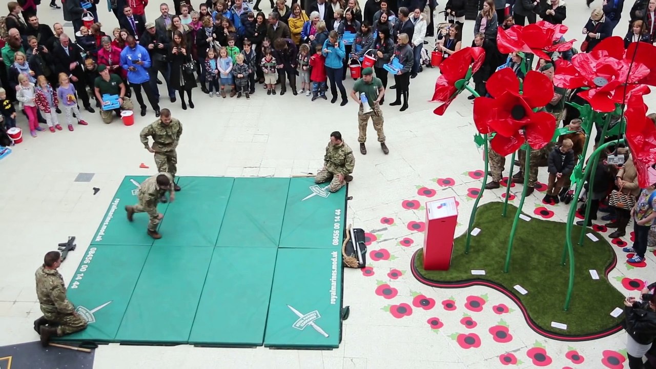 Techniques de combat au corps de la marine royale anglaise. Impressionnant!