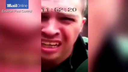 Britain faces an invasion of super-sized rats - Video Dailymotion