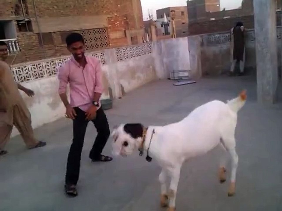 Very Funny..!!!