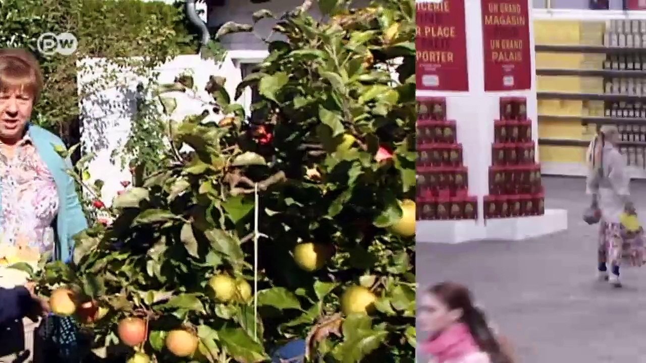 Click economy: dienstleistung on-demand | global 3000