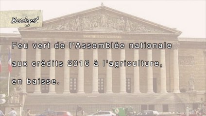 Le #FlashAgri85 du mardi 3 novembre 2015