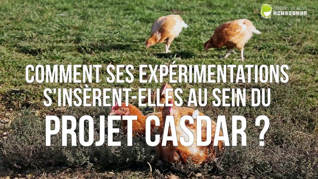 CASDAR parcours volailles - le projet (K.GERMAIN)