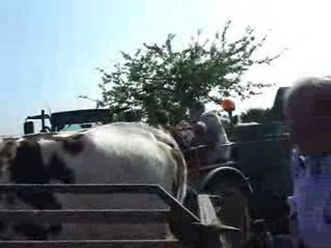 Etampage au Marais-Vernier
