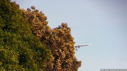 LAX spotting 2014