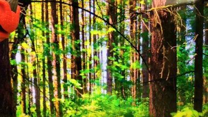 Batman Attacked by Medieval Ogre and Dragon Saved by Superman Catapult and The Flash Batte