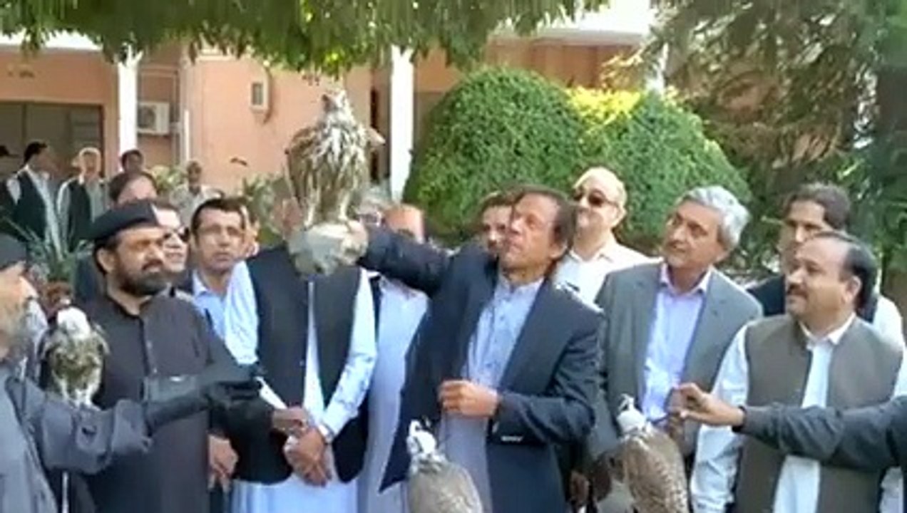 Exclusive Video of Imran Khan releasing the endangered birds in the wild