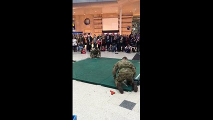 Royal Marines show off unarmed combat techniques