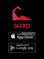 Scorp  vine Tuzlu Yeşil Erik Mi Şekerli Çilek Mi