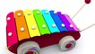 Jouets pour bébé : xylophone. Apprendre les notes de musique pour les petits. Learn Fren