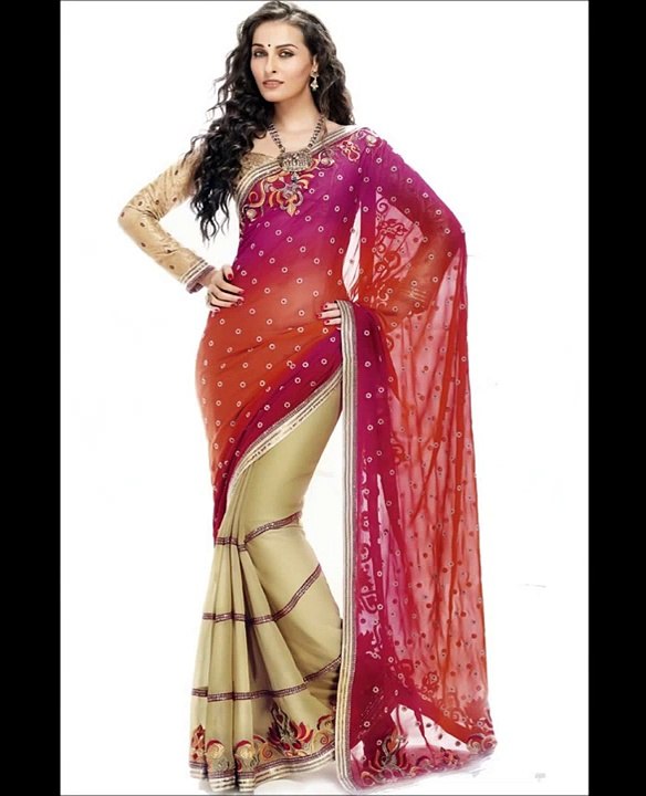 Hot and Beautiful Indian Sarees
