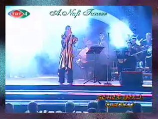 Sevcan ORHAN-Ilgıt Ilgıt Esen Seher Yelleri