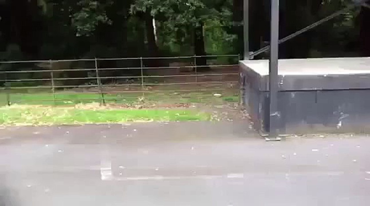 BMX Faceplant Off Ledge FUNNY PRANKS and FAILS