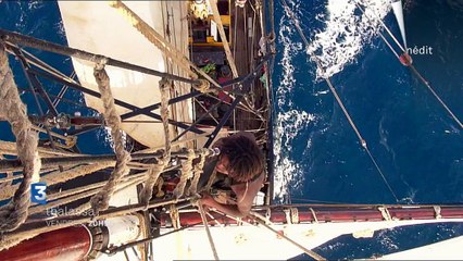 Thalassa aux Caraïbes - BA du 6/11/15