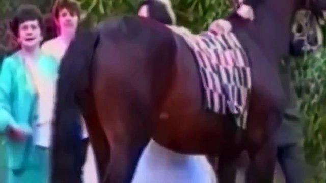 Funny Videos Funny Pranks Funny Fails Best Pranks Funny Clips 2015