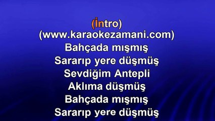 Seda Sayan - Mış Mış - 2014 TÜRKÇE KARAOKE