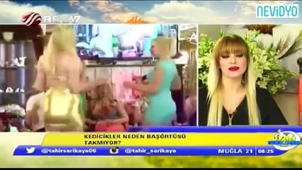 Adnan hocanın kediciği Didem Ürere tanga sorusu Kedicikler